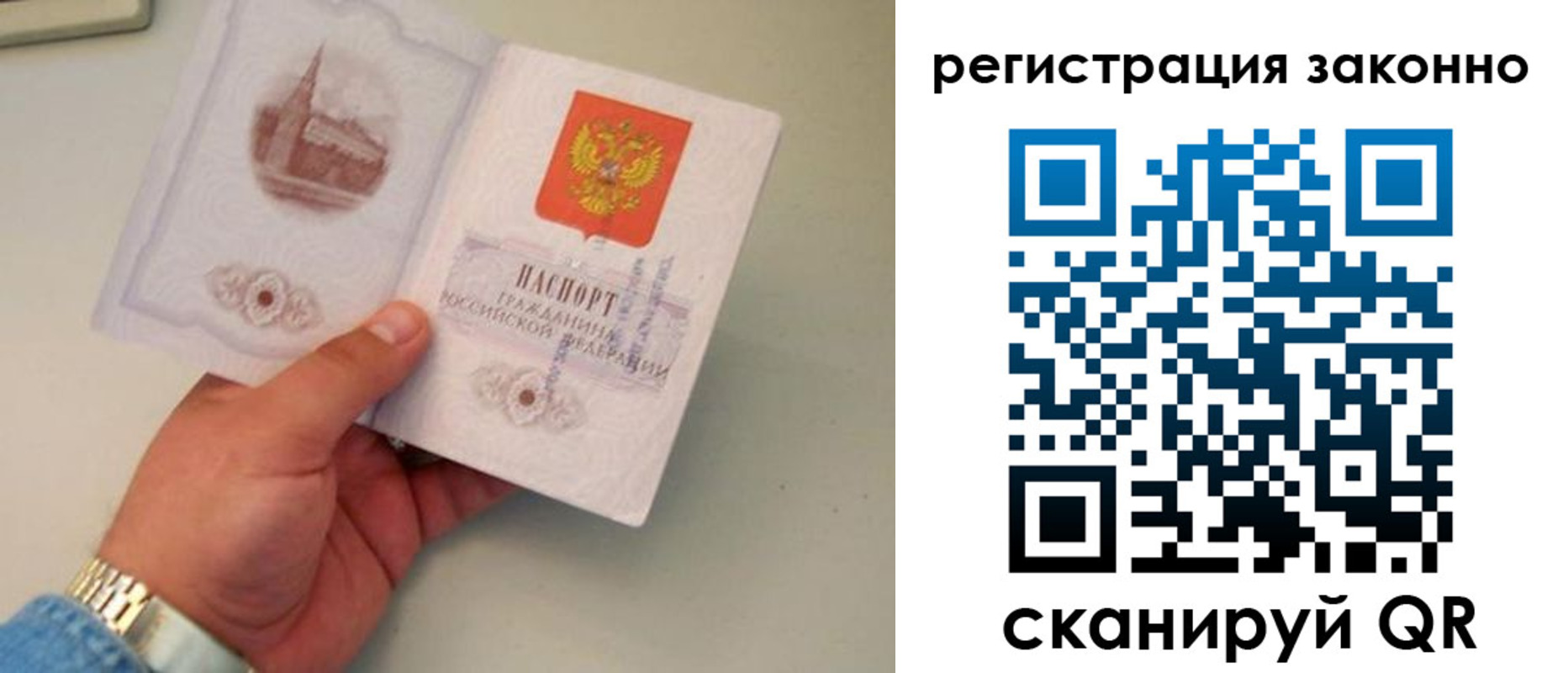 прописка для школы в Кировске